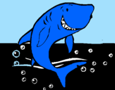 Desenho Tubarão pintado por maria eduarda