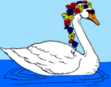Desenho Cisne com flores pintado por LAURA