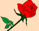 Desenho Rosa pintado por Guça