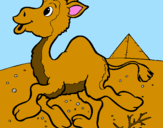 Desenho Camelo pintado por rebeca
