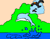 Desenho Golfinho e gaviota pintado por rafa