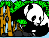 Desenho Urso panda e bambu pintado por natalia rosario brasil