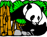 Desenho Urso panda e bambu pintado por ena