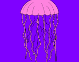 Desenho Medusa pintado por diogo