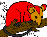 Desenho Ardilla possum pintado por gt7gt7gtbufvfby