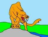 Desenho Tigre com dentes afiados pintado por tendy