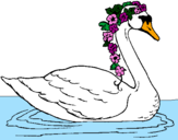Desenho Cisne com flores pintado por Vanessa