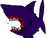 Desenho Tubarão pintado por felipe