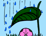 Desenho Joaninha protegida da chuva pintado por maria fer