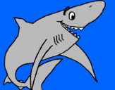 Desenho Tiburão alegre pintado por Patricia