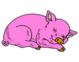 Desenho Porco a dormir pintado por TERESA