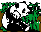 Desenho Mamã panda pintado por panda