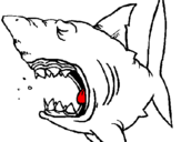 Desenho Tubarão pintado por Cleides