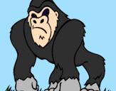 Desenho Gorila pintado por Henrique