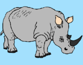 Desenho Rinoceronte pintado por eduardo