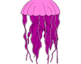 Desenho Medusa pintado por gui