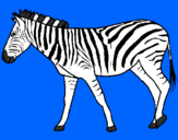 Desenho Zebra pintado por amanda