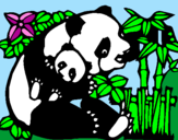 Desenho Mamã panda pintado por maria fer