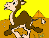 Desenho Camelo pintado por famimo