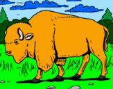 Desenho Búfalo pintado por wanessa