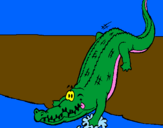 Desenho Crocodilo a entrar na água pintado por JAVIER saez     4
