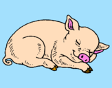 Desenho Porco a dormir pintado por Billy