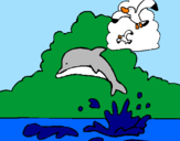 Desenho Golfinho e gaviota pintado por Patricia