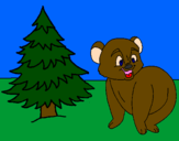 Desenho Urso e abeto pintado por B.