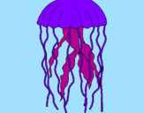 Desenho Medusa pintado por sofia