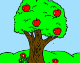 Desenho Macieira  pintado por eva