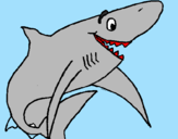 Desenho Tiburão alegre pintado por yasmim