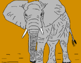 Desenho Elefante pintado por mano 