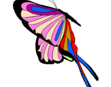 Desenho Borboleta com grandes asas pintado por Colorida