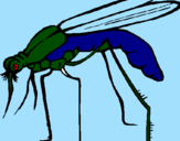 Desenho Mosquito pintado por NADIM45