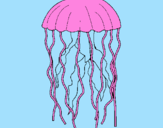 Desenho Medusa pintado por italo