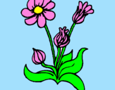 Desenho Flores pintado por Diana