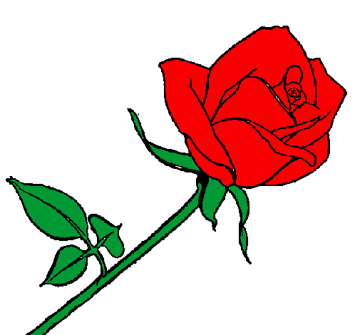 Desenho Rosa pintado por caio