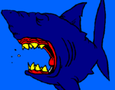 Desenho Tubarão pintado por lucas