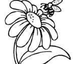 Desenho Margarida com abelha pintado por catarina