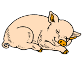 Desenho Porco a dormir pintado por japa