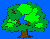 Desenho Árvore pintado por felipe