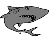 Desenho Tubarão pintado por LUIZ FELIPE