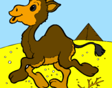 Desenho Camelo pintado por andré