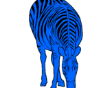 Desenho Zebra pintado por DRE