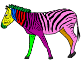 Desenho Zebra pintado por cadu