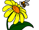 Desenho Margarida com abelha pintado por cravo