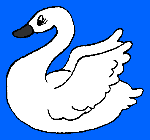 Desenho Cisne pintado por cisnei branco