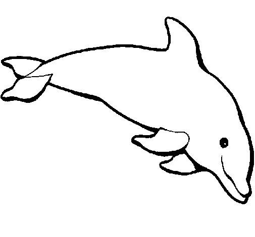 Desenho Golfinho contente pintado por rita