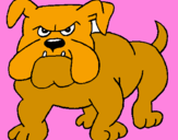 Desenho Cão Bulldog pintado por lamark