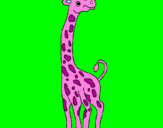 Desenho Girafa pintado por Amanda